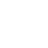 Our Vision