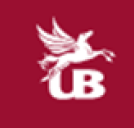 UB Group logo