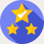 Review quality control icon